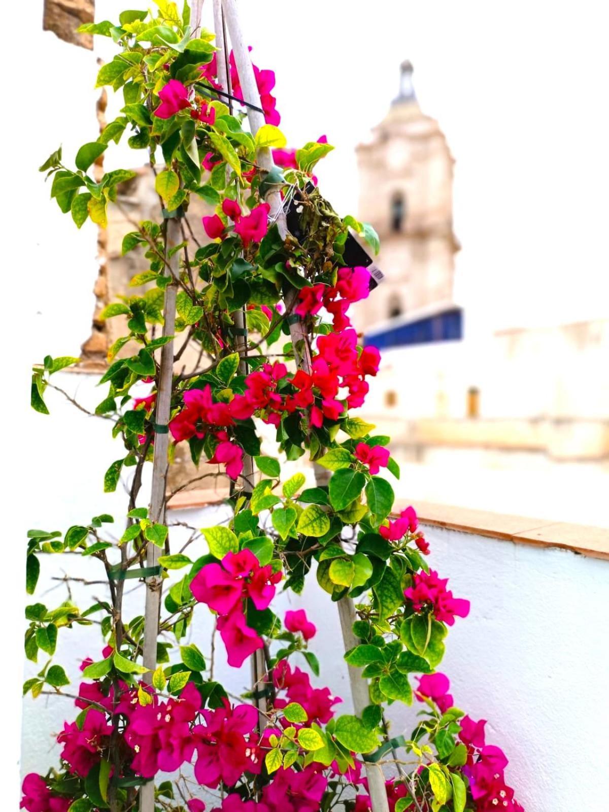 Apartamentos Terrazas De San Juan Malaga Luaran gambar