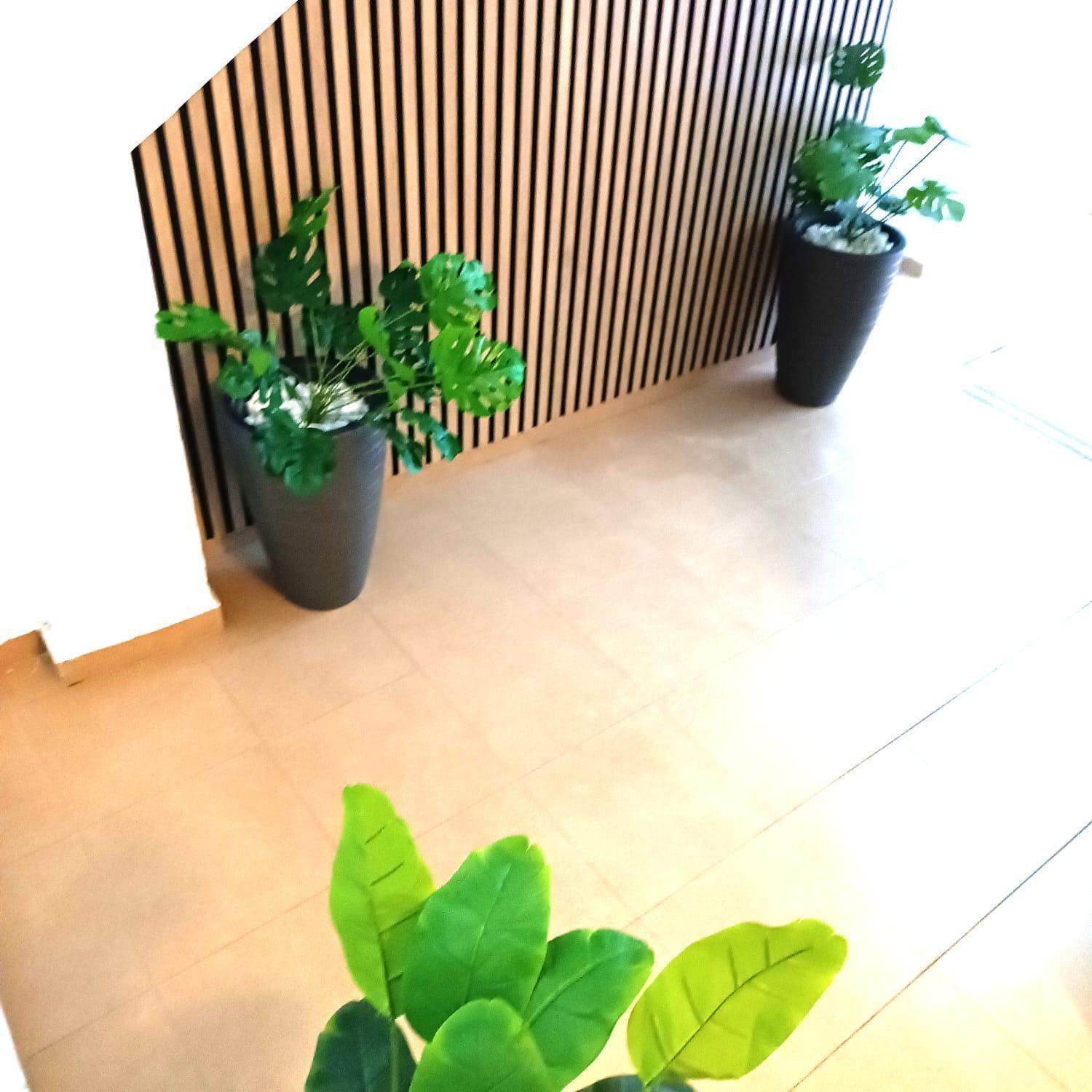 Apartamentos Terrazas De San Juan Malaga Luaran gambar